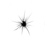 autoscheibe-steinschlag-grafik